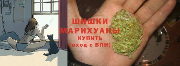 СК Магадан