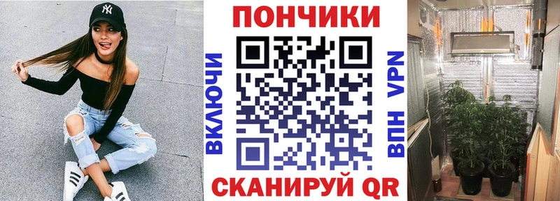 Канабис Amnesia Ленинградская